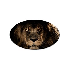 African-lion-mane-close-eyes Sticker Oval (10 Pack) by Ket1n9