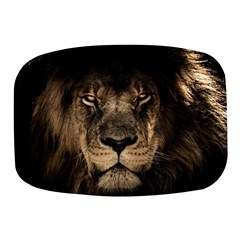 African-lion-mane-close-eyes Mini Square Pill Box by Ket1n9