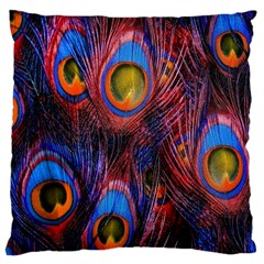 Pretty Peacock Feather Large Cushion Case (one Side) by Ket1n9