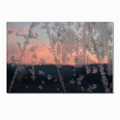 Hardest-frost-winter-cold-frozen Postcards 5  X 7  (pkg Of 10) by Amaryn4rt