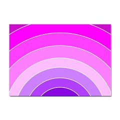 Pink Rainbow Purple Design Pattern Sticker A4 (100 Pack) by Pakjumat