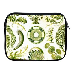 Algae Green Algae Chlorophyceae Apple Ipad 2/3/4 Zipper Cases by Pakjumat