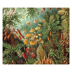 Moose Eurhynchium Haeckel Muscinae Premium Plush Fleece Blanket (small) by Pakjumat