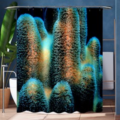 Photo Coral Great Scleractinia Shower Curtain 60  X 72  (medium)  by Pakjumat