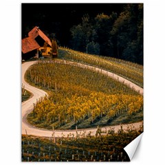 Vineyard Agriculture Farm Autumn Canvas 12  X 16  by Sarkoni