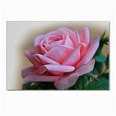 Rose Pink Flowers Pink Saturday Postcards 5  X 7  (pkg Of 10) by Amaryn4rt