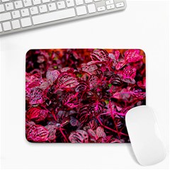 Red Leaves Plant Nature Leaves Small Mousepad by Sarkoni