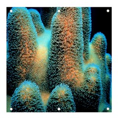 Photo Coral Great Scleractinia Banner And Sign 4  X 4  by Pakjumat