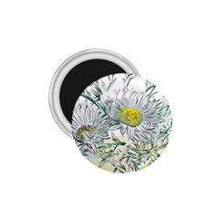 Thistle Alpine Flower Flower Plant 1 75  Magnets by Modalart