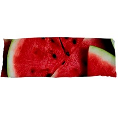 Watermelon Fruit Green Red Body Pillow Case Dakimakura (two Sides) by Bedest