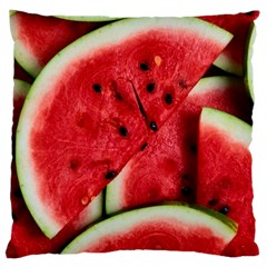 Watermelon Fruit Green Red Large Cushion Case (one Side) by Bedest