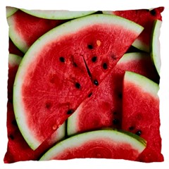 Watermelon Fruit Green Red Standard Premium Plush Fleece Cushion Case (two Sides) by Bedest