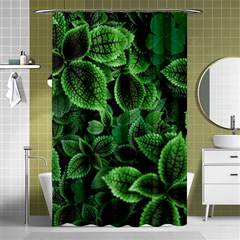 Shanghai Botanical Garden Shower Curtain 48  X 72  (small)  by Pakjumat