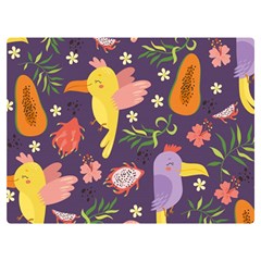 Exotic Seamless Pattern With Parrots Fruits Two Sides Premium Plush Fleece Blanket (extra Small) by Ravend