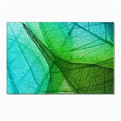 Sunlight Filtering Through Transparent Leaves Green Blue Postcard 4 x 6  (pkg Of 10) by Ket1n9