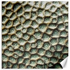 Ocean Pattern Canvas 12  X 12  by Ket1n9