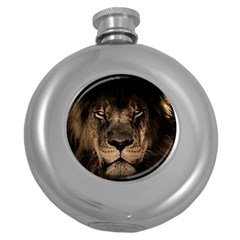 African Lion Mane Close Eyes Round Hip Flask (5 Oz) by Ket1n9