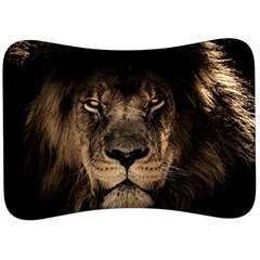 African Lion Mane Close Eyes Velour Seat Head Rest Cushion by Ket1n9