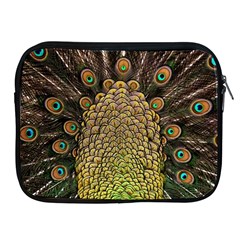 Peacock Feathers Wheel Plumage Apple Ipad 2/3/4 Zipper Cases by Ket1n9