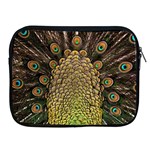 Peacock Feathers Wheel Plumage Apple iPad 2/3/4 Zipper Cases Front