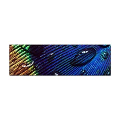 Peacock Feather Retina Mac Sticker Bumper (10 Pack) by Ket1n9