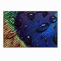 Peacock Feather Retina Mac Postcards 5  X 7  (pkg Of 10) by Ket1n9
