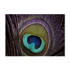 Peacock Feather Crystal Sticker (a4) by Ket1n9