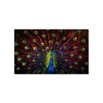 Beautiful Peacock Feather Sticker Rectangular (10 pack) Front