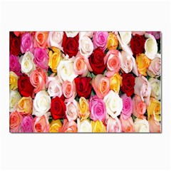 Rose Color Beautiful Flowers Postcard 4 x 6  (pkg Of 10) by Ket1n9