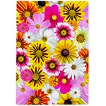 Flowers Blossom Bloom Nature Plant A4 Acrylic Clipboard Back