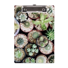 Cactus Nature Plant Desert A5 Acrylic Clipboard by Bedest