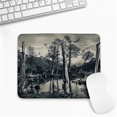 Dry Forest Landscape, Tierra Del Fuego, Argentina Small Mousepad by dflcprintsclothing