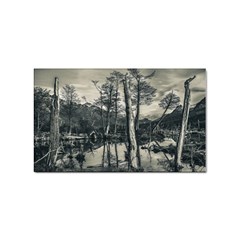 Dry Forest Landscape, Tierra Del Fuego, Argentina Sticker Rectangular (10 Pack) by dflcprintsclothing