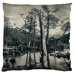 Dry Forest Landscape, Tierra Del Fuego, Argentina Standard Premium Plush Fleece Cushion Case (one Side) by dflcprintsclothing