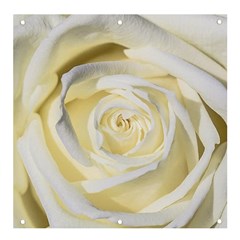 White Roses Flowers Plant Romance Blossom Bloom Nature Flora Petals Banner And Sign 4  X 4  by Proyonanggan