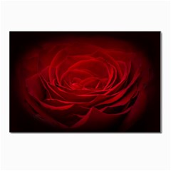 Rose Red Rose Red Flower Petals Waves Glow Postcards 5  X 7  (pkg Of 10) by Proyonanggan