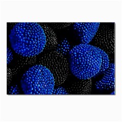 Berry, One,berry Blue Black Postcards 5  X 7  (pkg Of 10) by nateshop