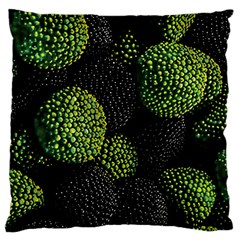 Berry,note, Green, Raspberries Large Premium Plush Fleece Cushion Case (two Sides) by nateshop