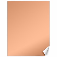 Peach Fuzz 2024 Canvas 12  X 16  by dressshop