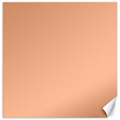 Peach Fuzz 2024 Canvas 16  X 16  by dressshop