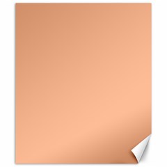 Peach Fuzz 2024 Canvas 20  X 24  by dressshop