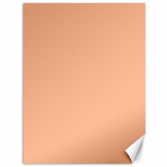 Peach Fuzz 2024 Canvas 36  X 48  by dressshop