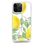 Fruit-2310212 iPhone 14 Pro Max TPU UV Print Case Front