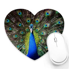 Peacock Bird Feathers Pheasant Nature Animal Texture Pattern Heart Mousepad by Bedest