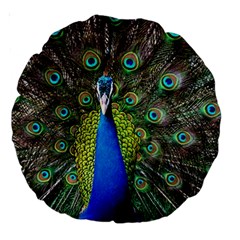 Peacock Bird Feathers Pheasant Nature Animal Texture Pattern Large 18  Premium Round Cushions by Bedest