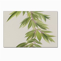 Watercolor Leaves Branch Nature Plant Growing Still Life Botanical Study Postcards 5  X 7  (pkg Of 10) by Posterlux