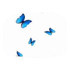 Butterfly-blue-phengaris Mini Square Pill Box by saad11