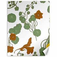 Nasturtium Flower Plant Leaves Canvas 12  X 16  by Maspions