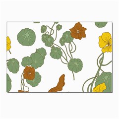 Nasturtium Flowers Plant Leaves Postcards 5  X 7  (pkg Of 10) by Ndabl3x