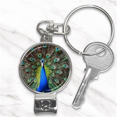 Peacock Bird Feathers Pheasant Nature Animal Texture Pattern Nail Clippers Key Chain by Bedest